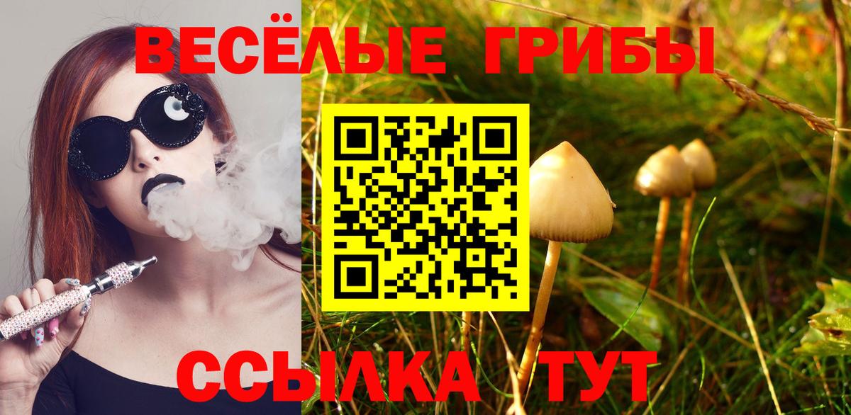 Домодедово  Галлюциногенные грибы Magic Shrooms  Вход с VPN 