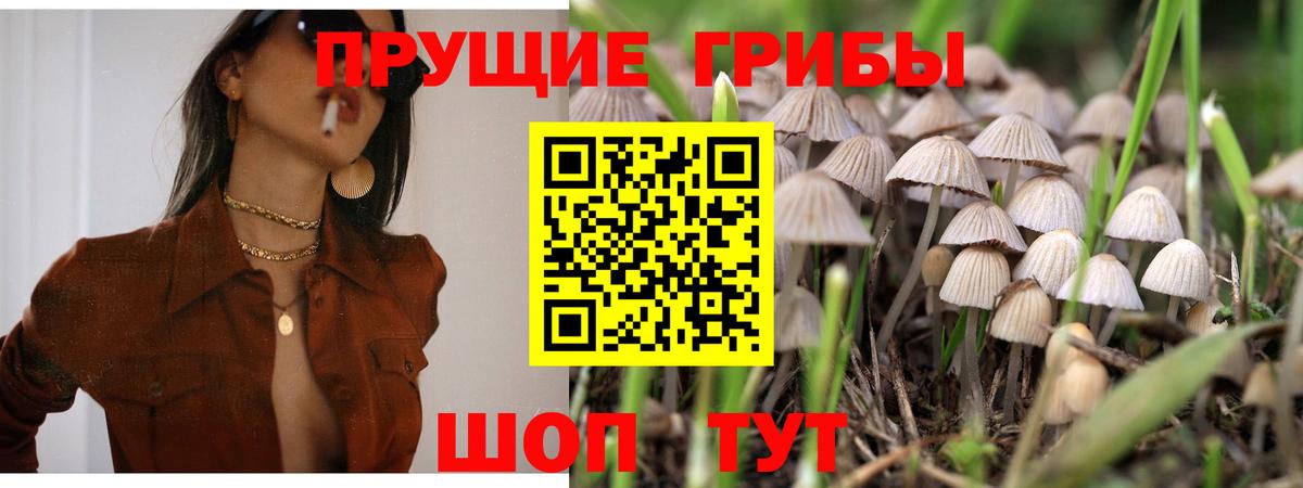 Псилоцибиновые грибы мухоморы Домодедово